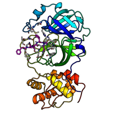 Учени откриха инхибитори на SARS-CoV-2